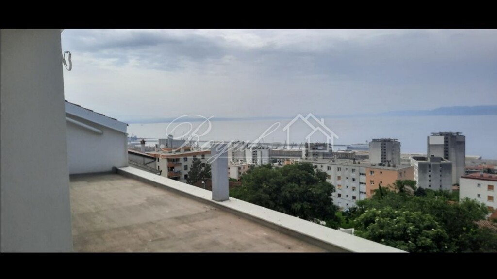 Image 6239499 - 5