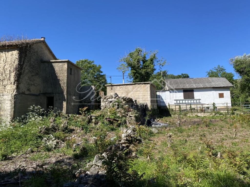 Image 6239509 - 10