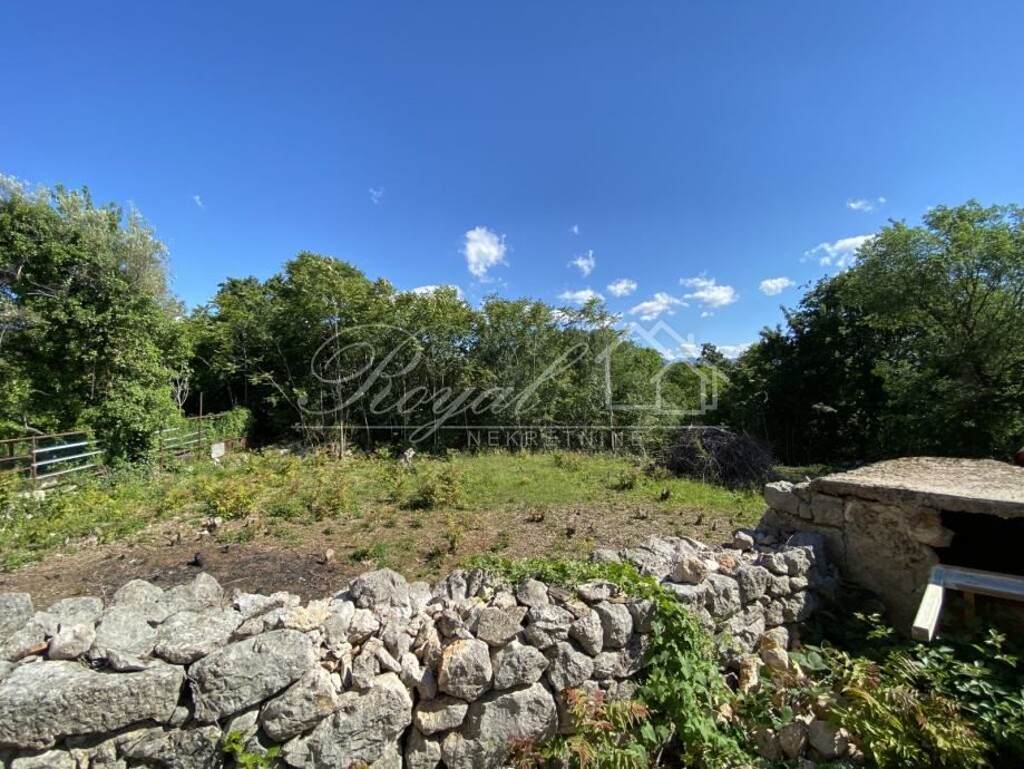 Image 6239509 - 4