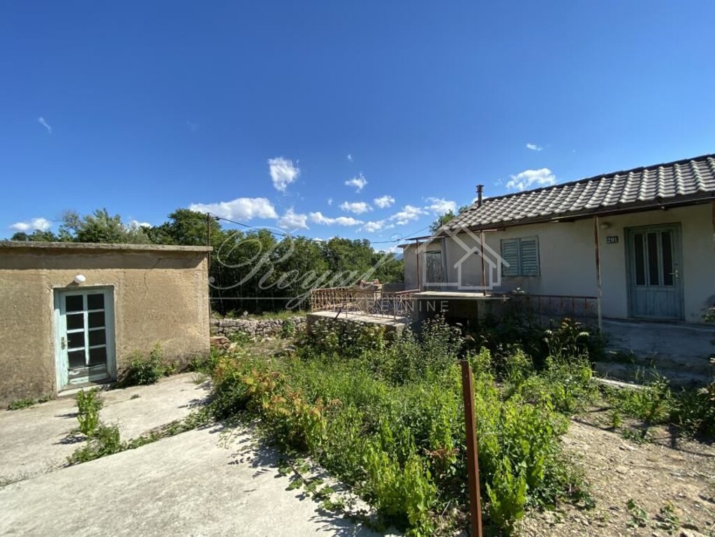 Image 6239509 - 1