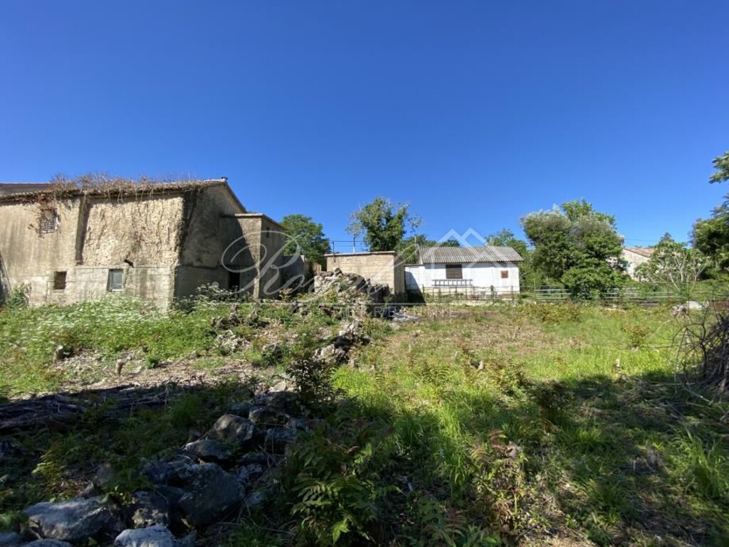 Image 6239509 - 7