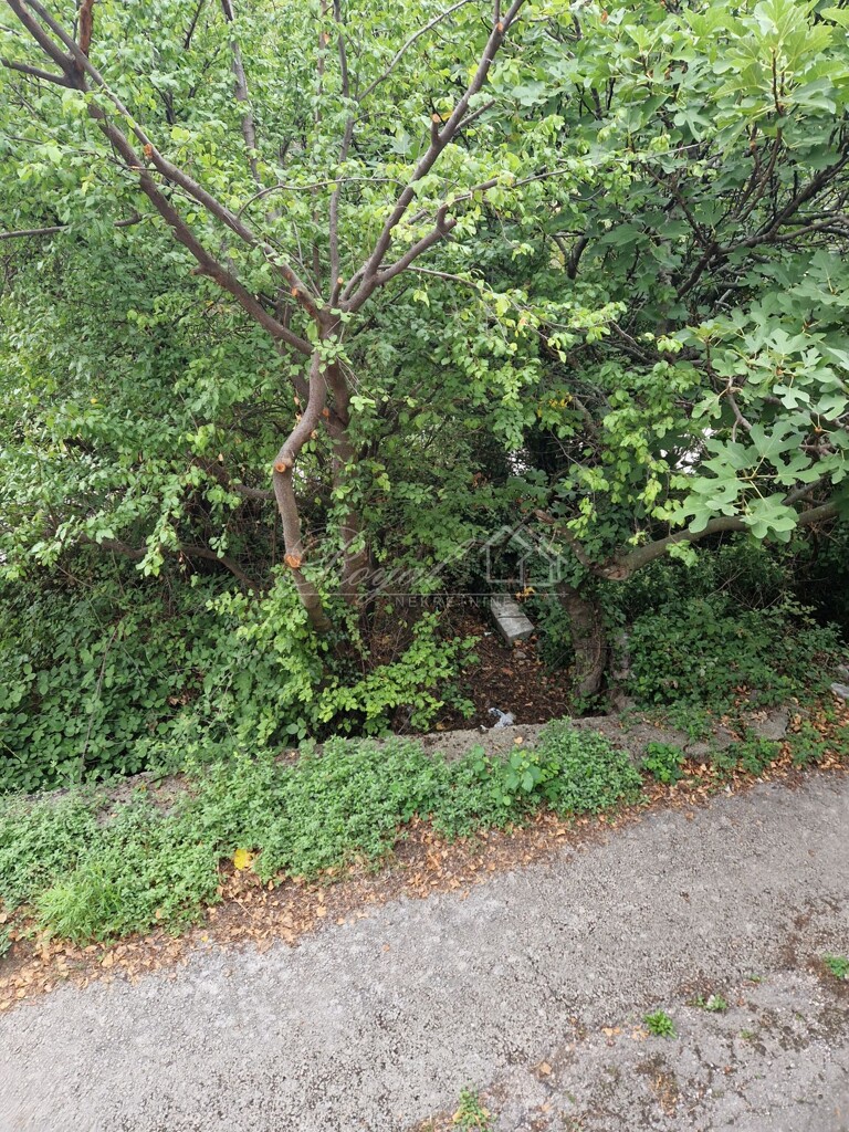 Image 6239514 - 7