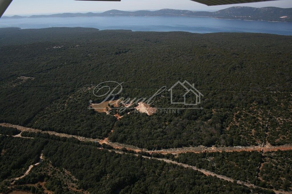 Image 6239546 - 5