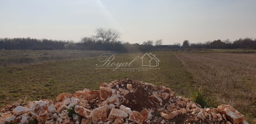 Thumbnail 6239549 - 3