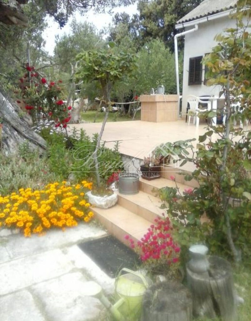 Image 6239568 - 3