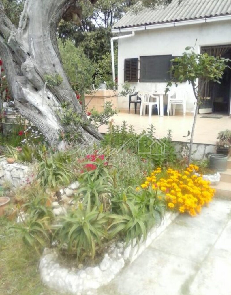 Image 6239568 - 1