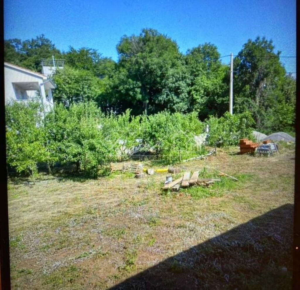 Image 6239602 - 6