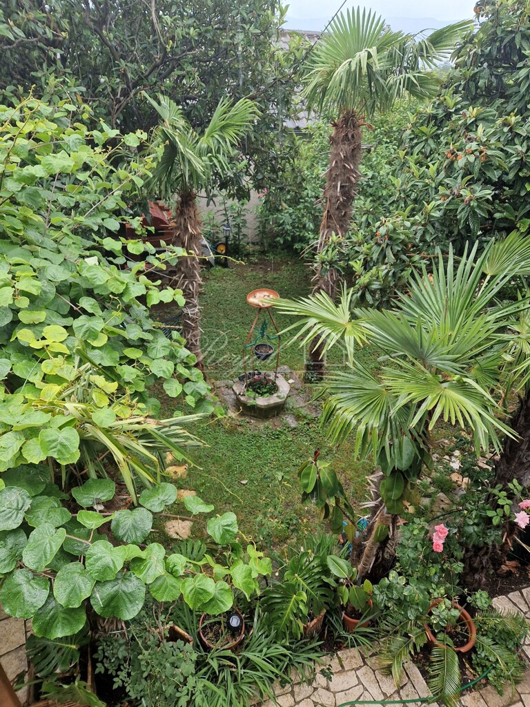 Image 6239625 - 10