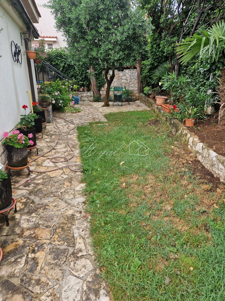 Image 6239625 - 3