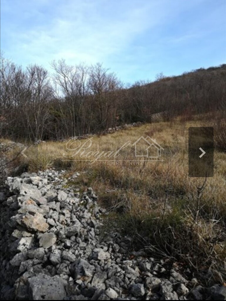 Image 6239653 - 1