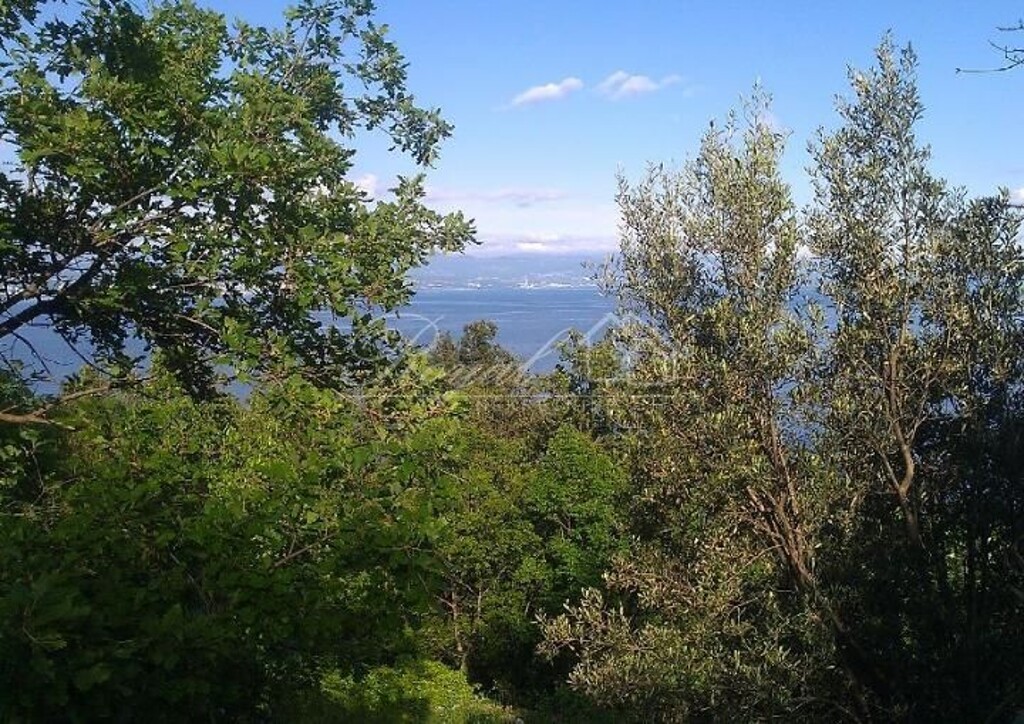 Image 6239657 - 2