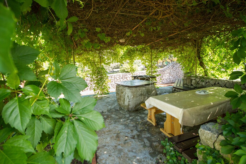 Image 6239663 - 21