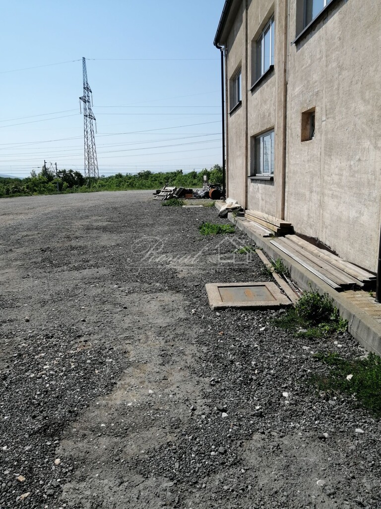 Image 6239667 - 19