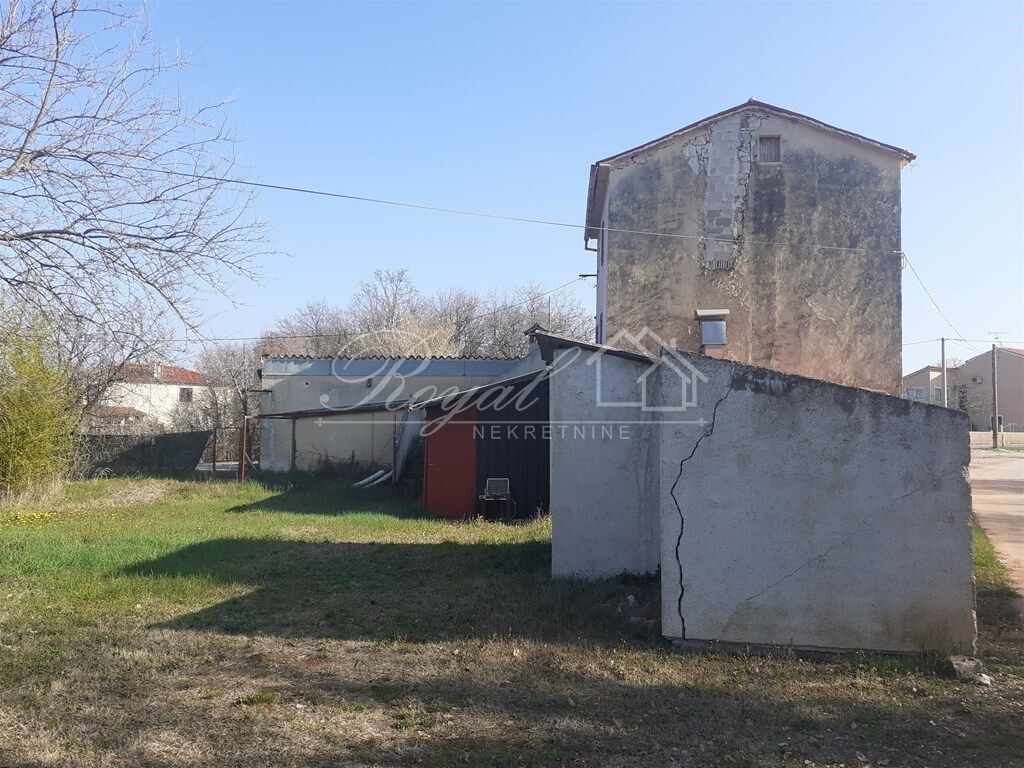 Image 6239670 - 3