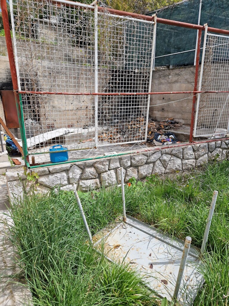 Image 6239702 - 11