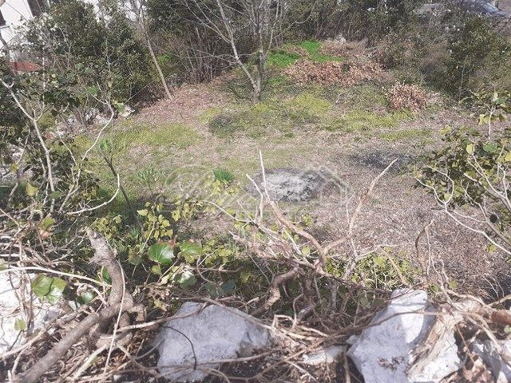 Image 6239723 - 1