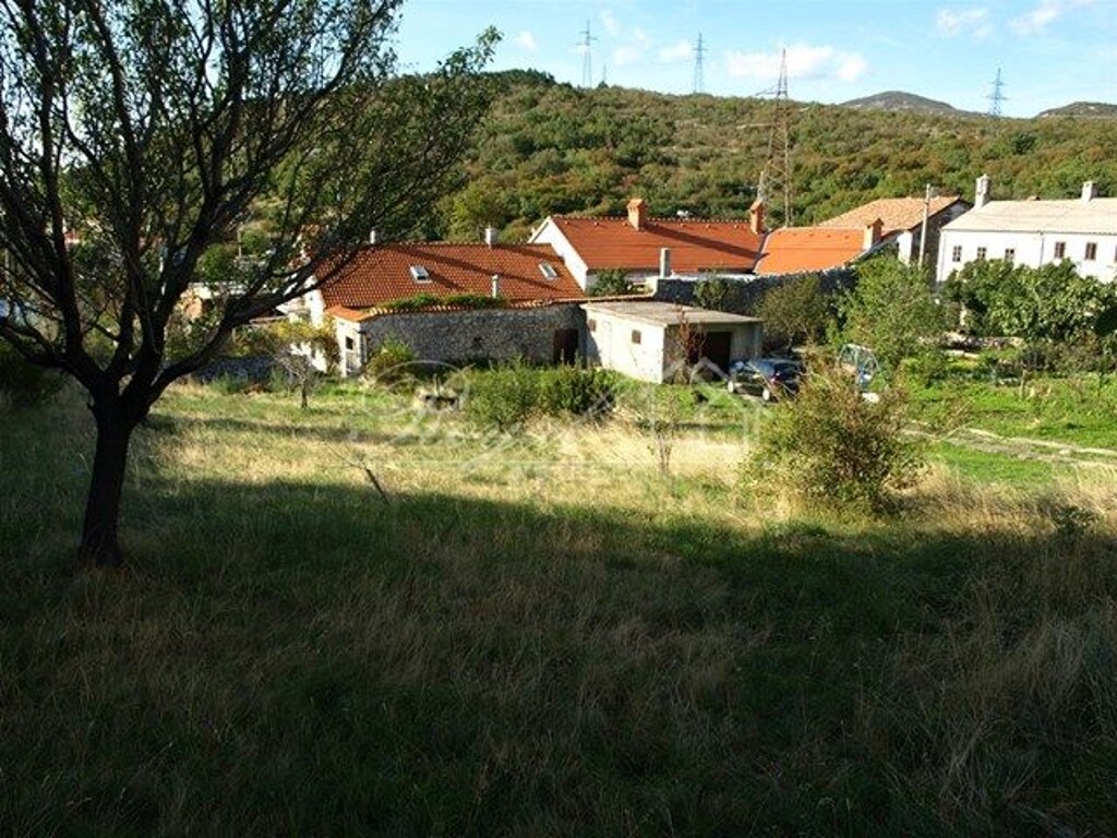 Image 6239725 - 2