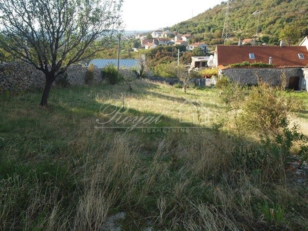 Image 6239725 - 1