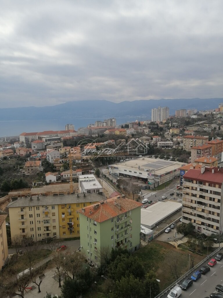 Image 6239729 - 1