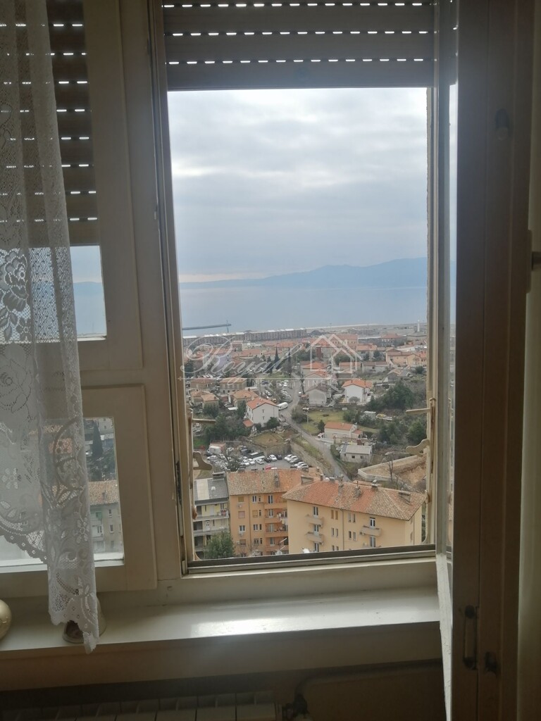 Image 6239729 - 9