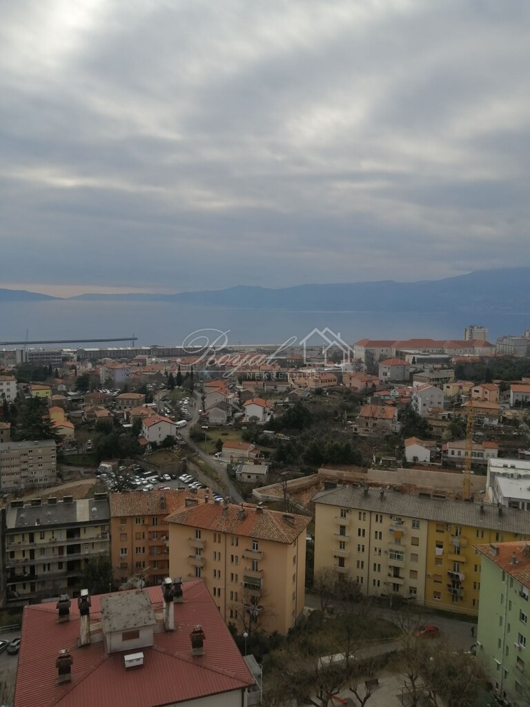 Image 6239729 - 2