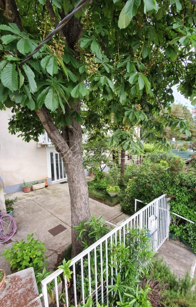 Image 6239730 - 14