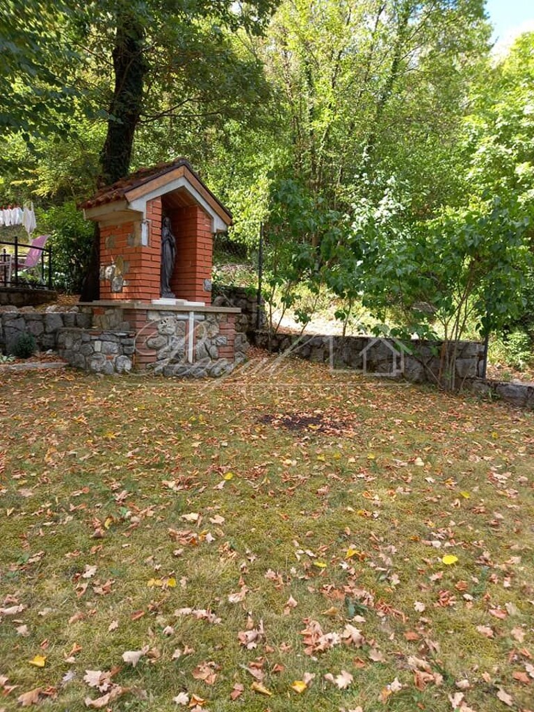 Image 6239777 - 7