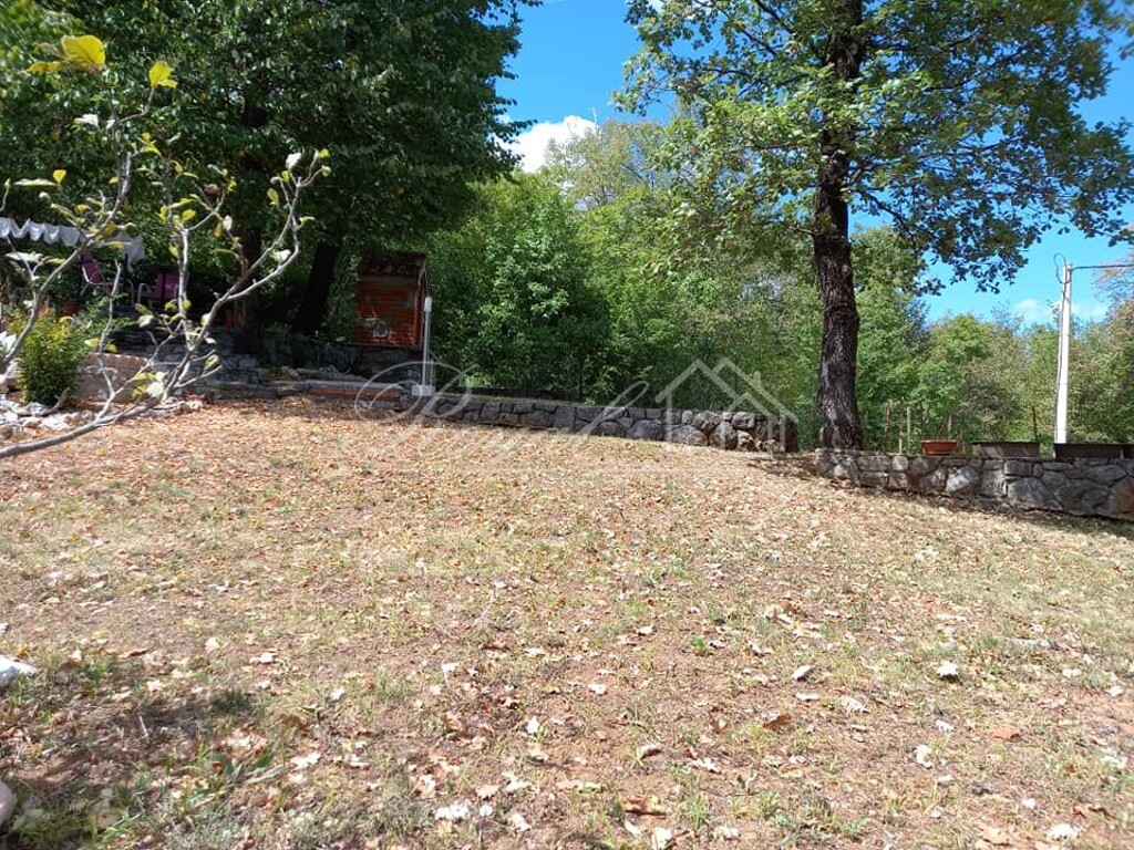 Image 6239777 - 11