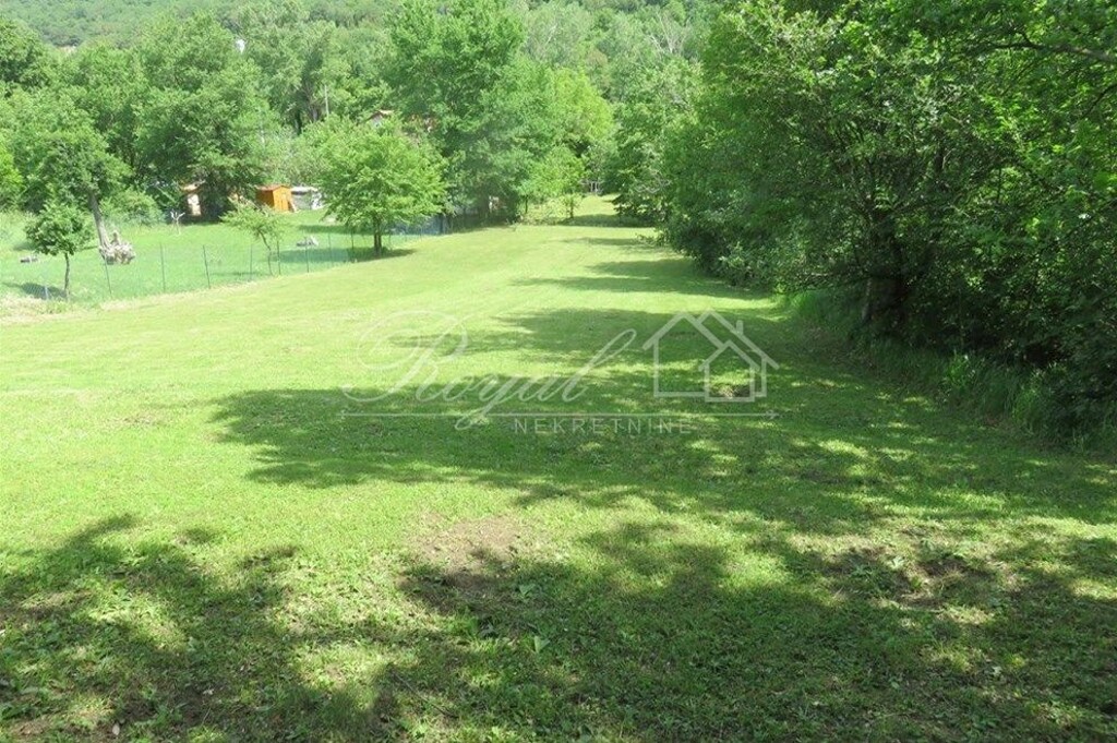 Image 6239781 - 2