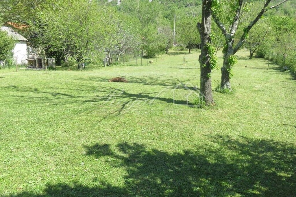Image 6239781 - 3
