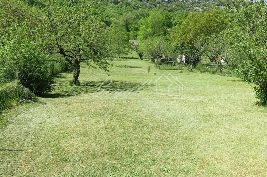 Image 6239781 - 1