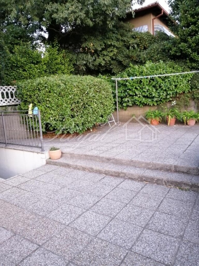 Image 6239882 - 6