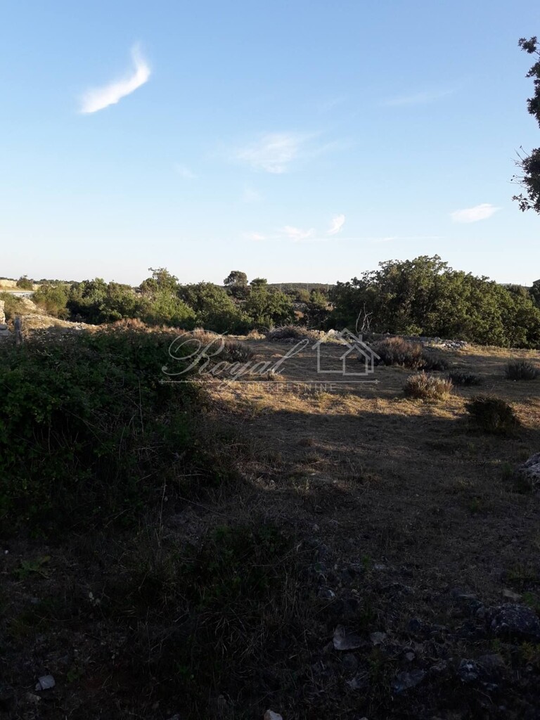 Image 6239883 - 3