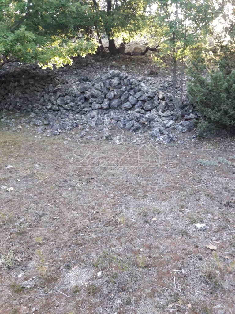 Image 6239883 - 4