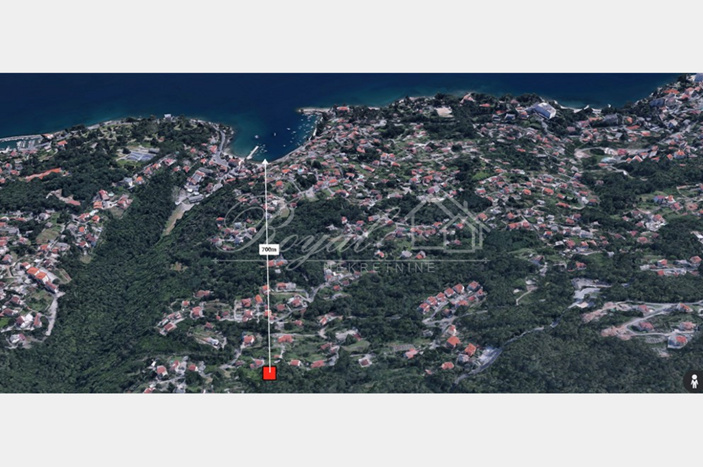 Image 6239888 - 4