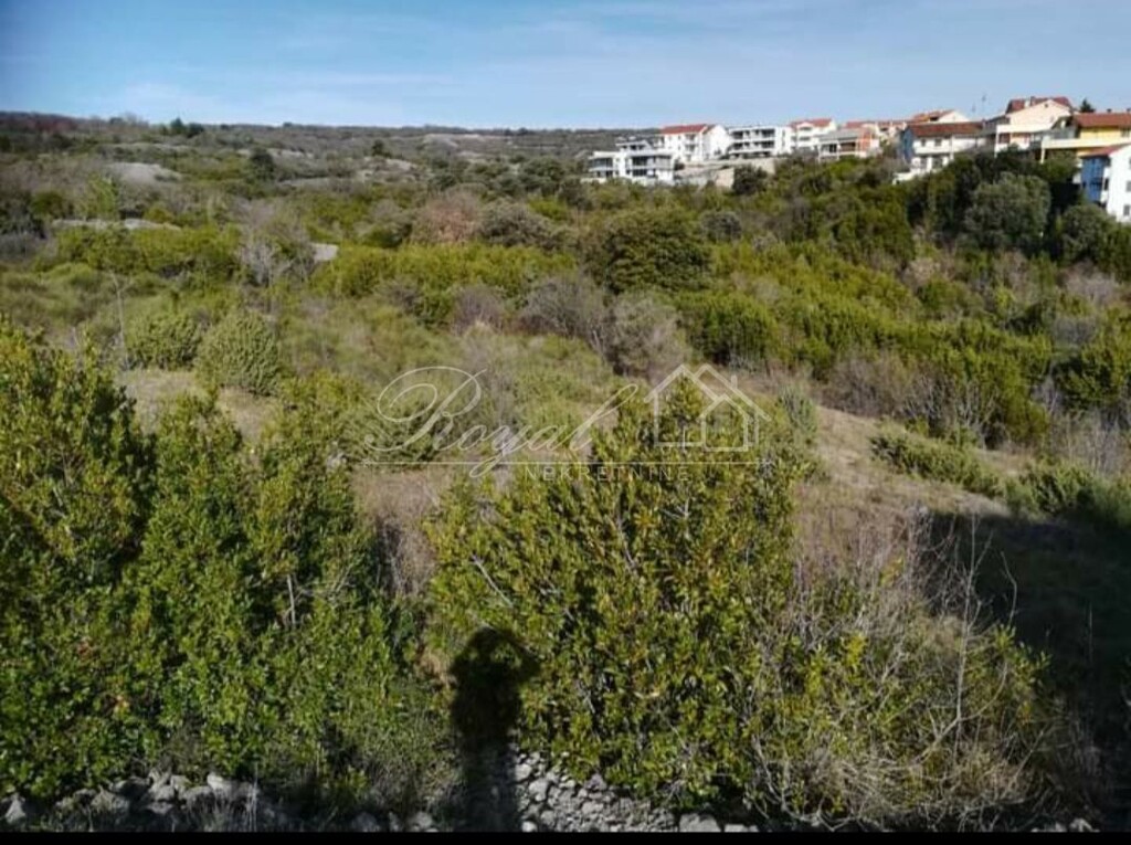 Image 6239900 - 4