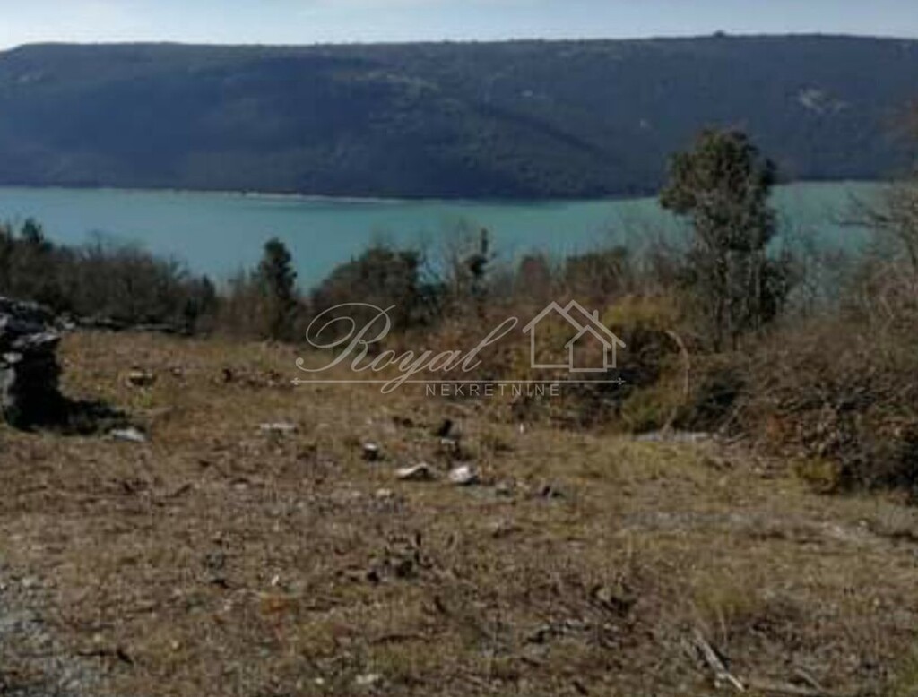 Image 6239934 - 1