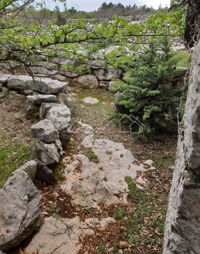 Image 6239951 - 4