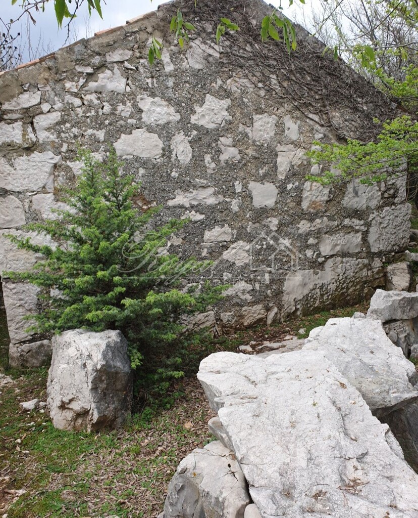 Image 6239951 - 5