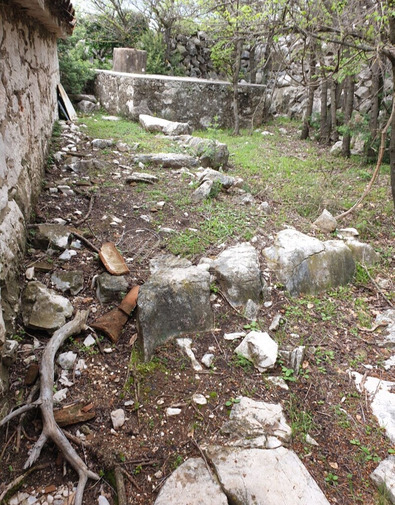 Image 6239951 - 7