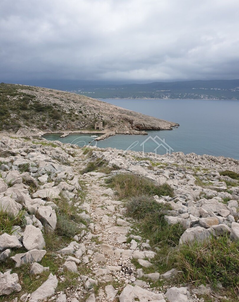Image 6239951 - 1