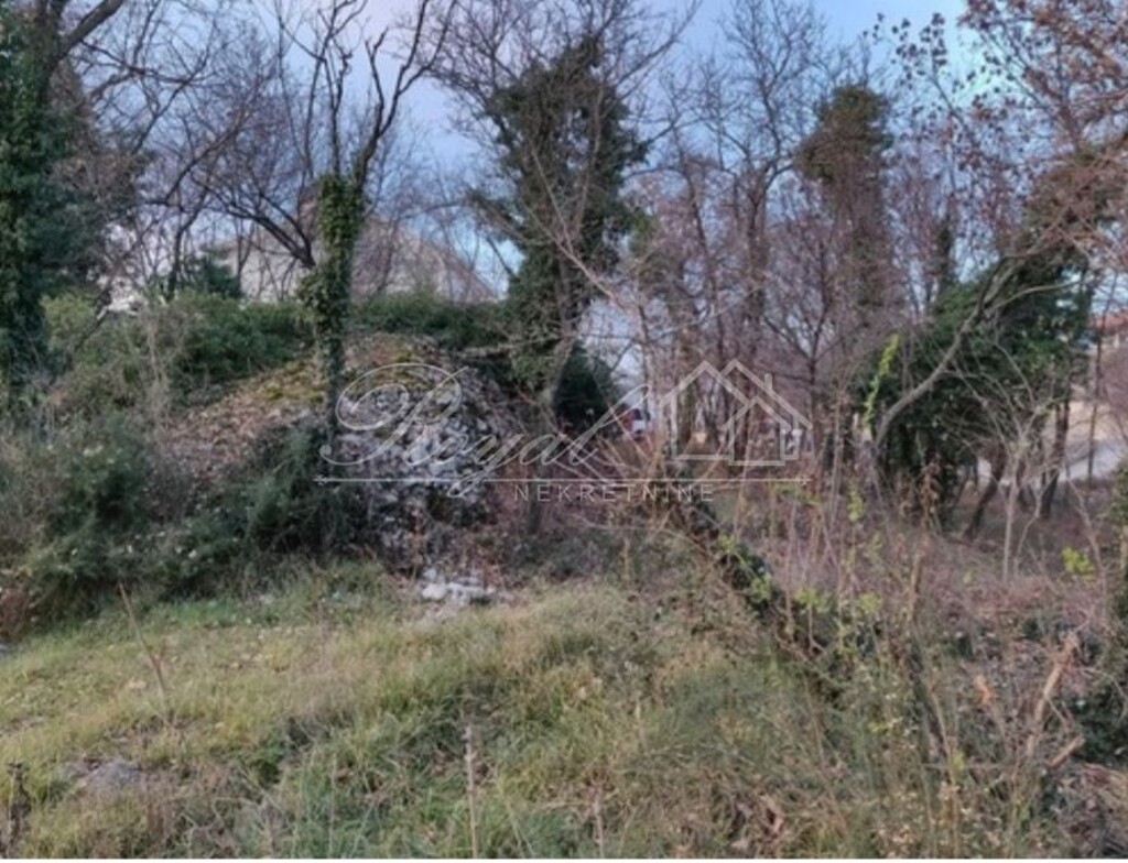Image 6240016 - 1