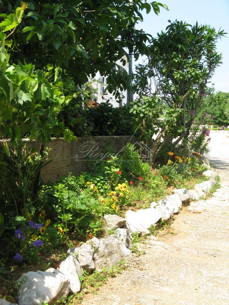 Image 6240018 - 8
