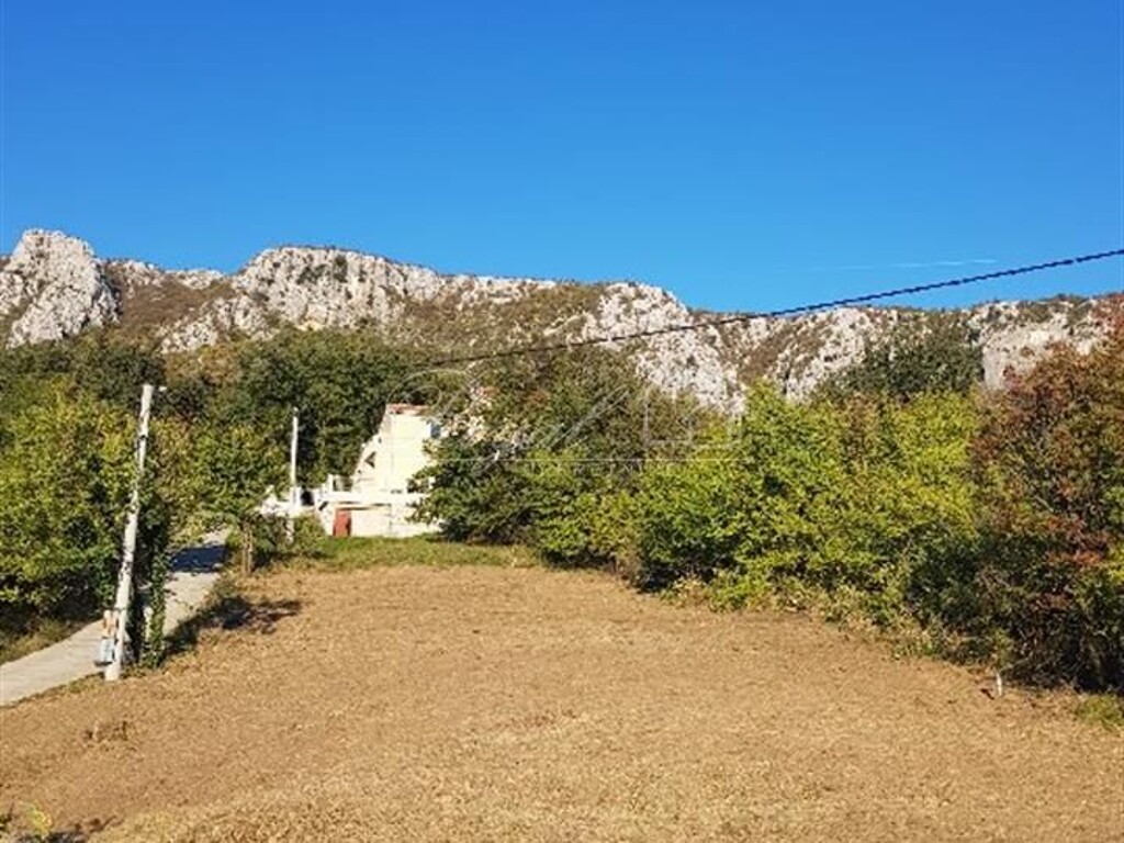 Image 6240029 - 1
