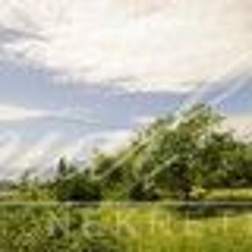 Thumbnail 6240119 - 2