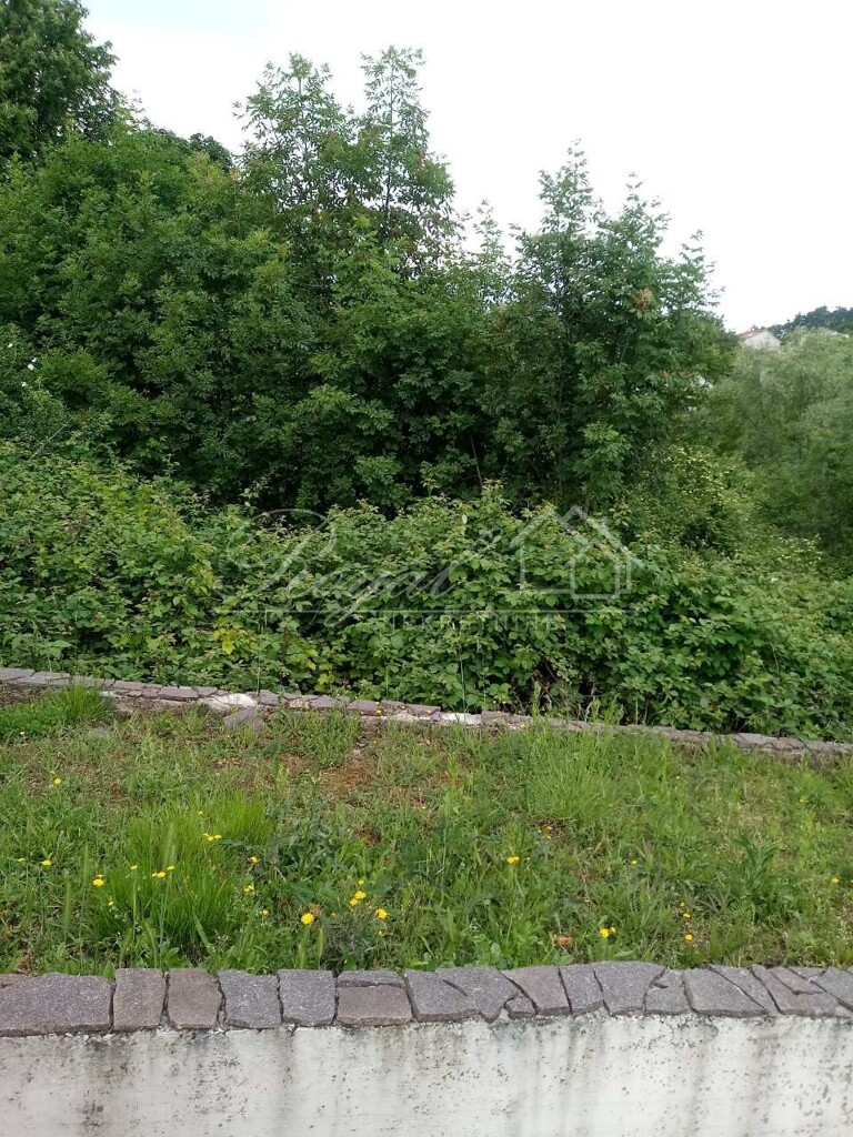 Image 6240121 - 2