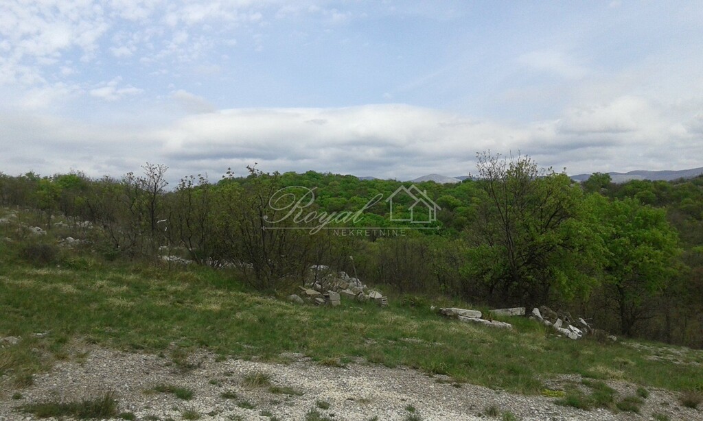 Image 6240224 - 3