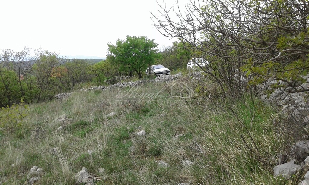 Image 6240224 - 5