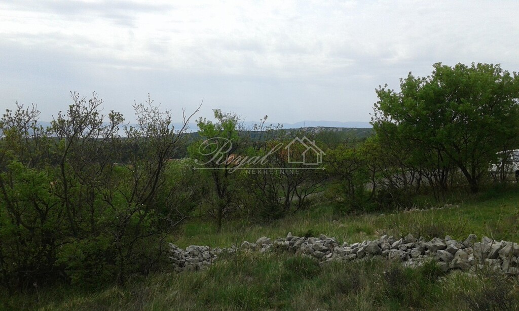 Image 6240224 - 1
