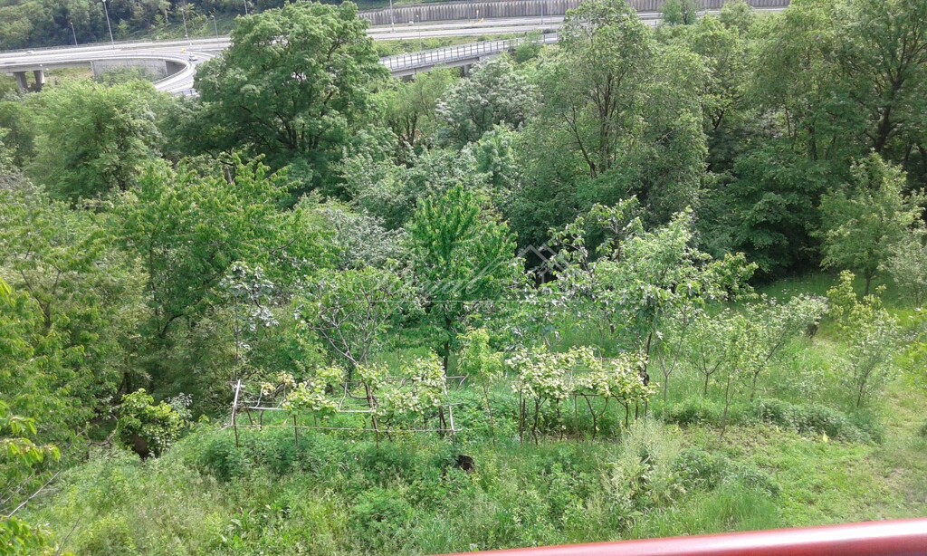 Image 6240228 - 13
